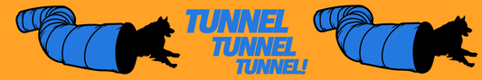 Agility Tunnel - Blue