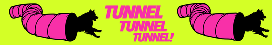 Agility Tunnel - Pink