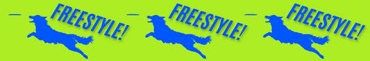 Freestyle Disc - Green