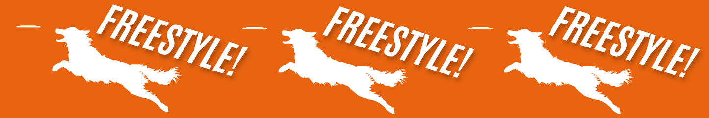 Freestyle Disc - Orange