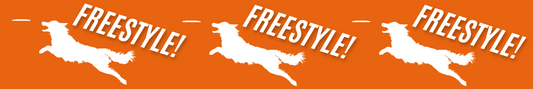 Freestyle Disc - Orange