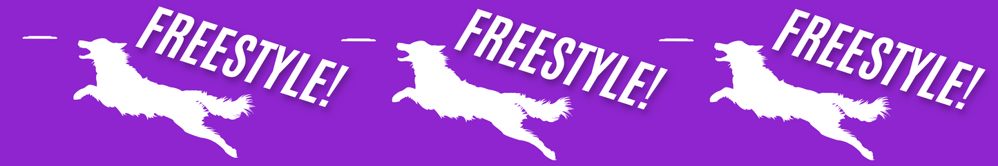Freestyle Disc - Purple