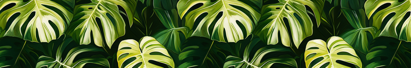 Monstera