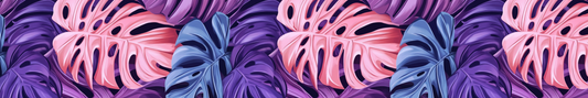Monstera 4